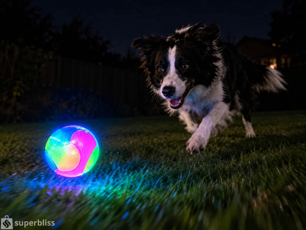 Light Up Dog Balls, Bounce Activated (2 Pack) - photo 2