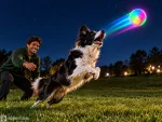 Light Up Dog Balls, Bounce Activated (2 Pack)